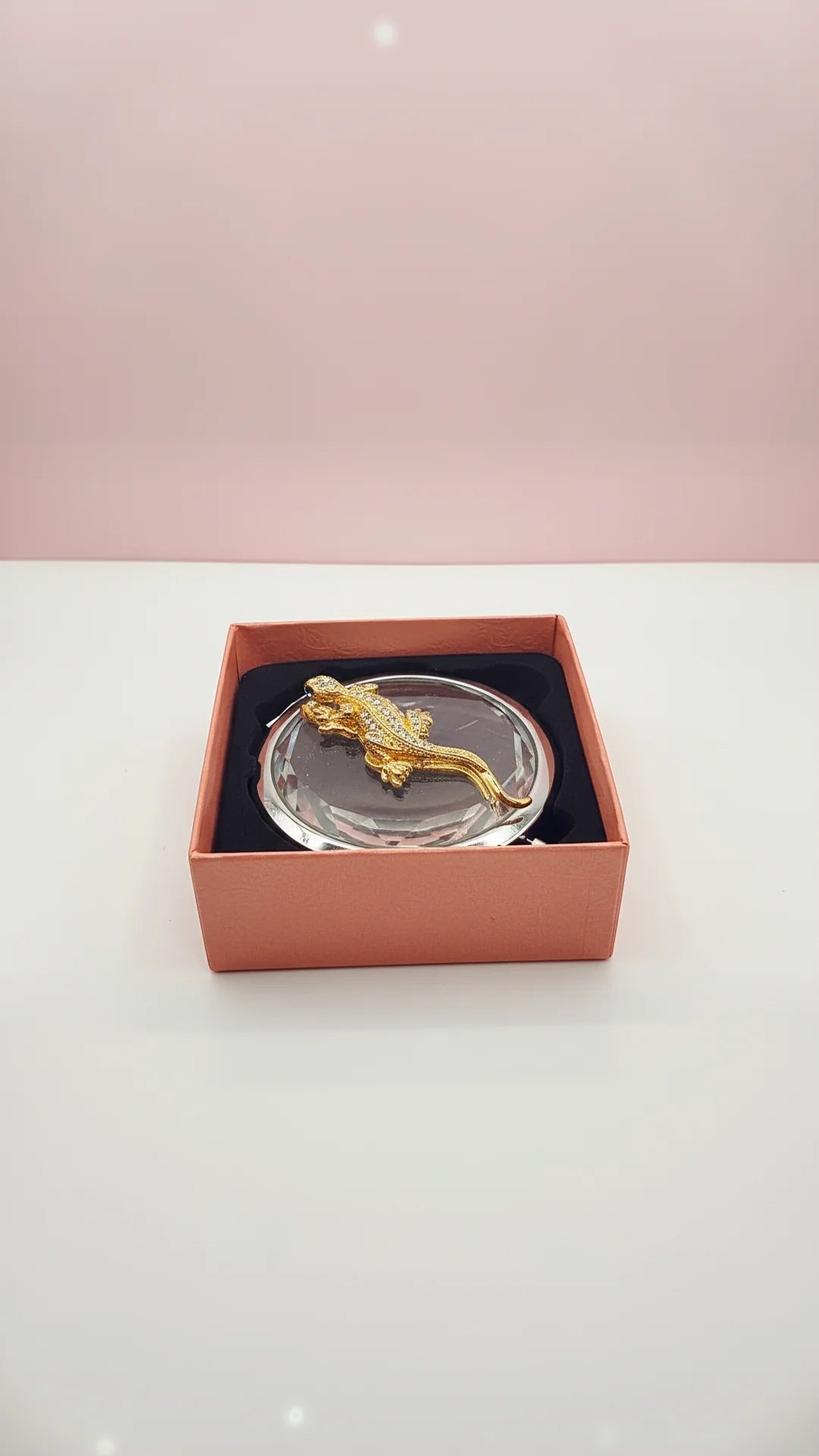 Lizard Reptile Compact Mirror & Gift Box