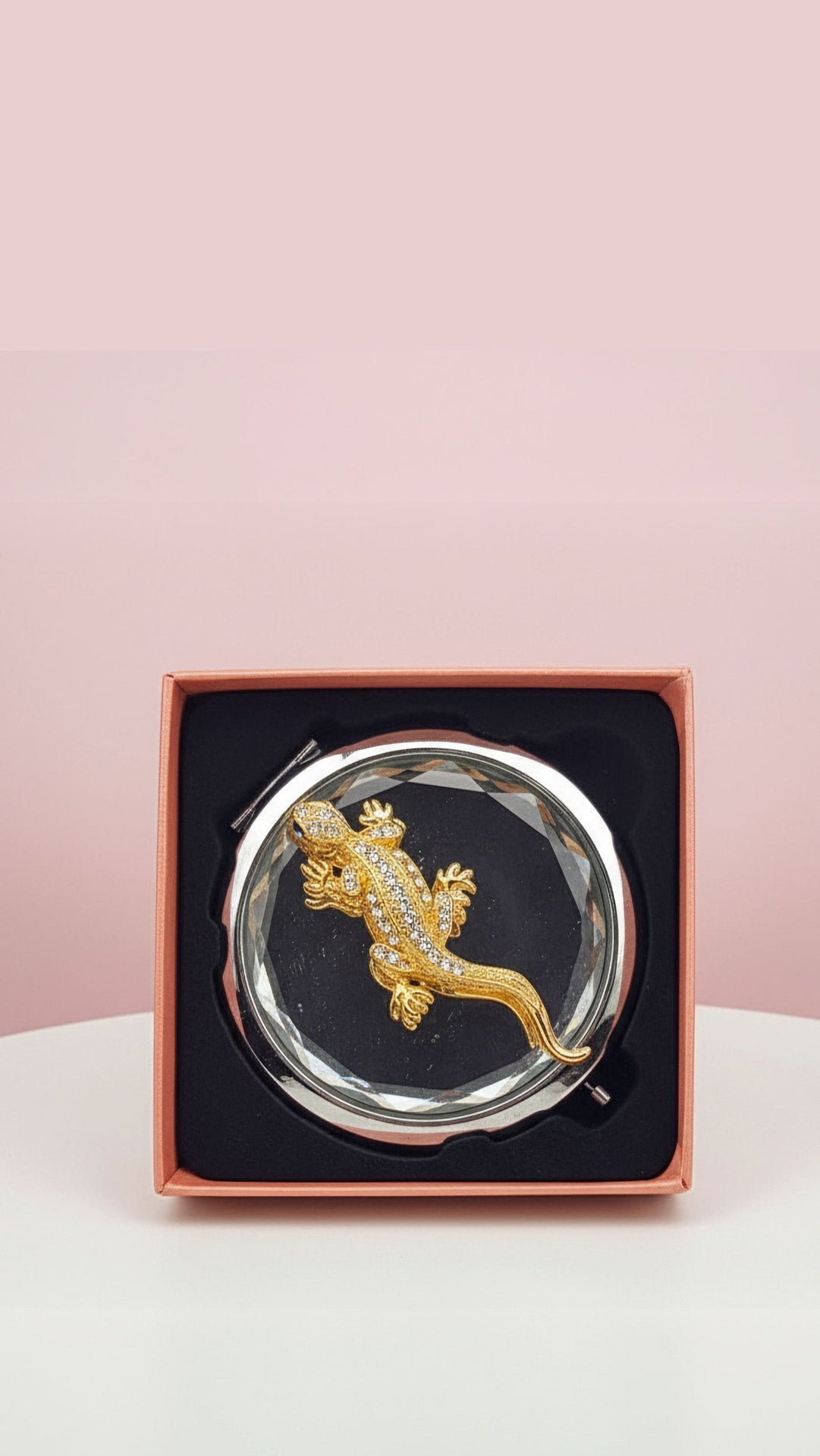 Lizard Reptile Compact Mirror & Gift Box