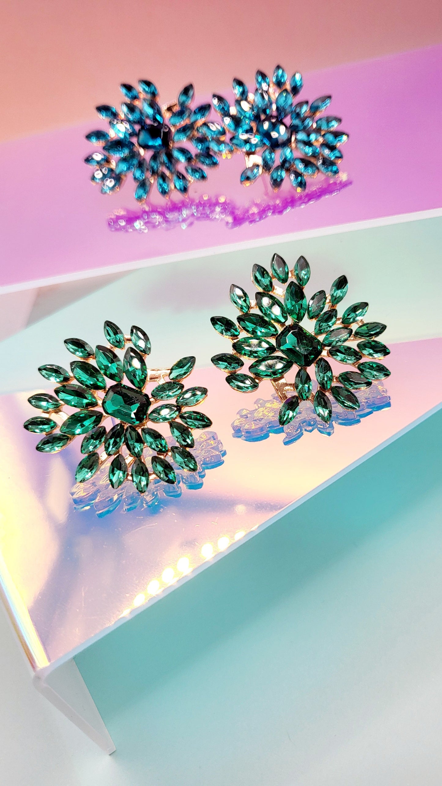 Flower Burst Earrings ER5688