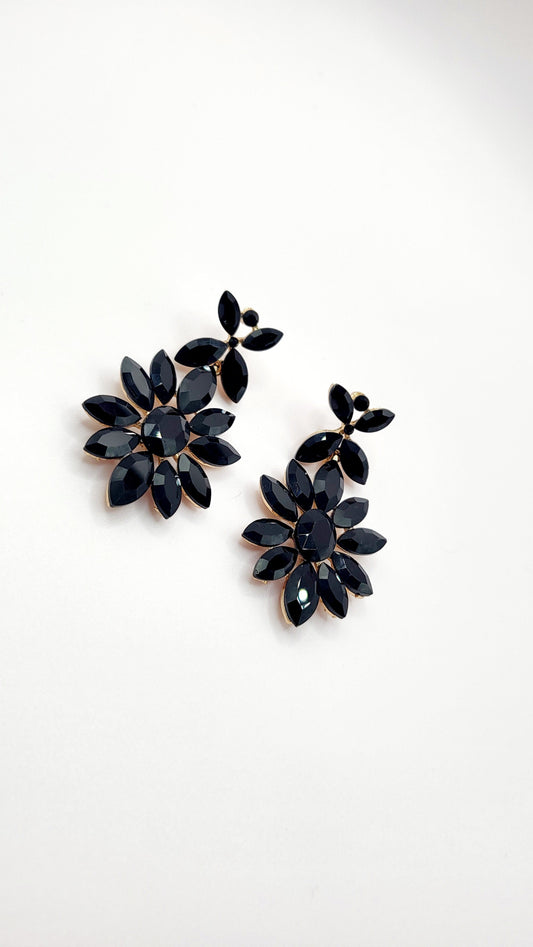 Black Crystal Drop and Dangle Earrings