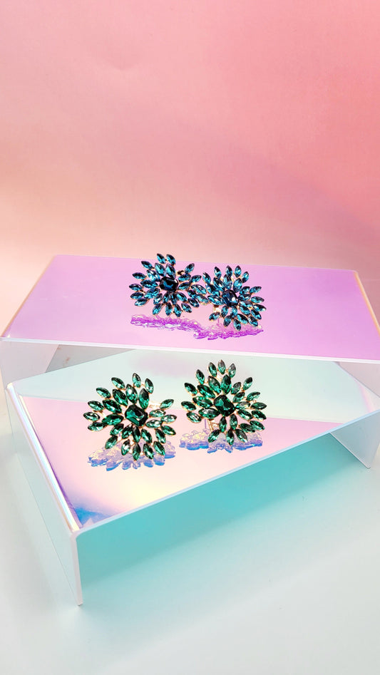 Flower Burst Earrings ER5688
